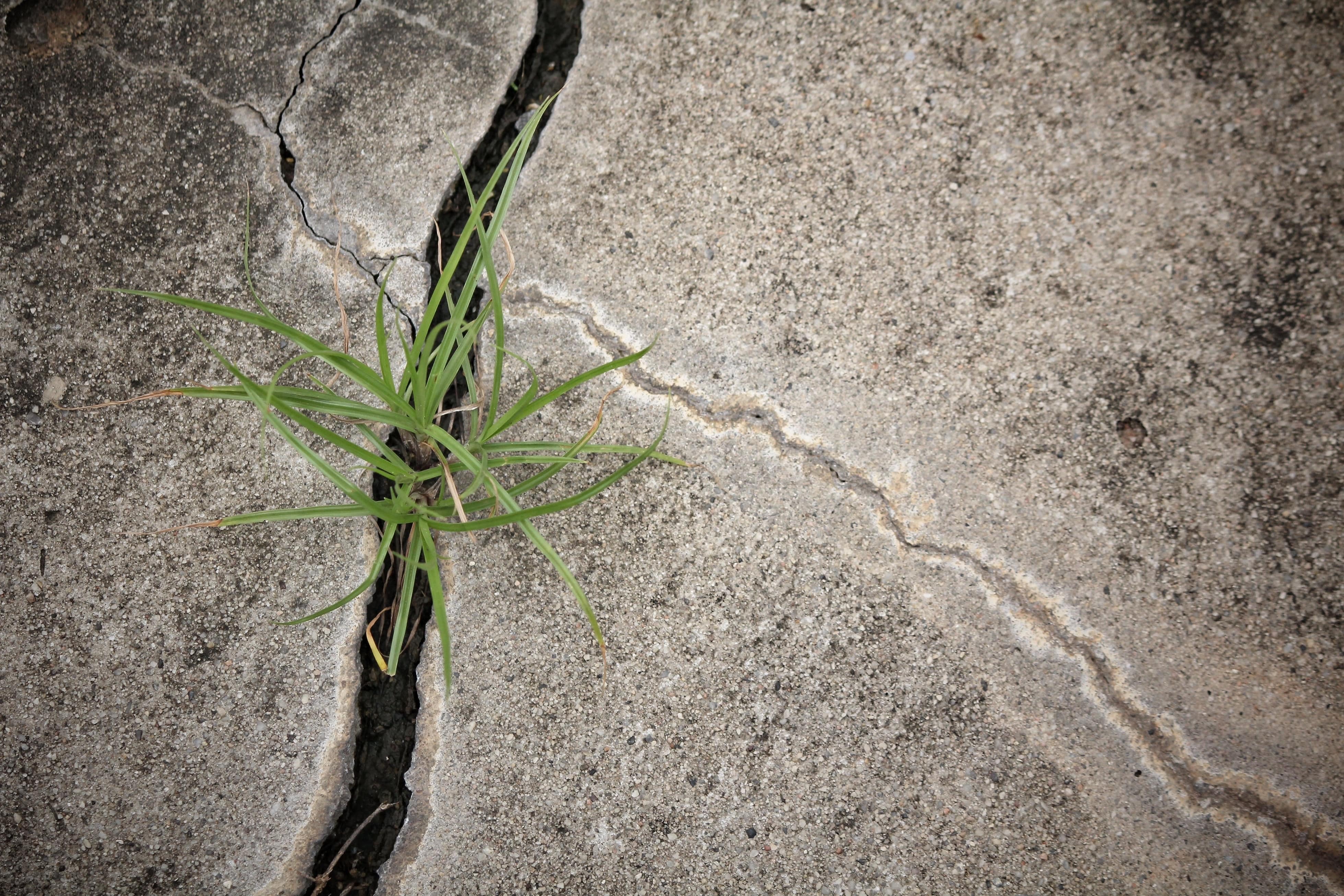 20 Ways to Repair Cracks in a Concrete Driveway  Rockford Mutual