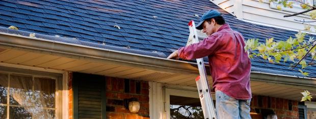 Cleaning, Cleaning Gutters, Ladder, Home Maintanence