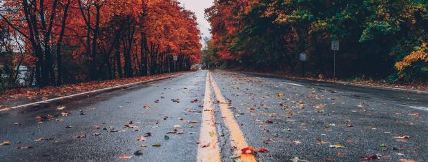 Autumn, Leaves, Empty Road, Fall 