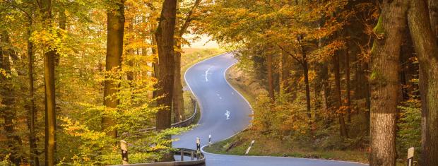 Winding road, rural, trees