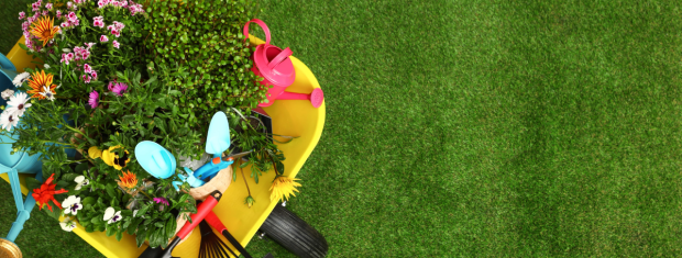 Spring, Lawncare, Gardening