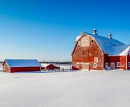 Winter Farming, Snow, Winter, Farm, Barn