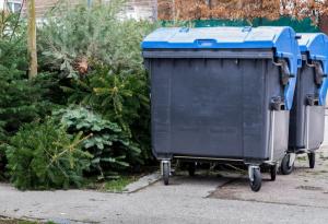 Christmas, Christmas Trees, Recycle, Recycling Bin