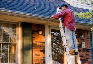 Cleaning, Cleaning Gutters, Ladder, Home Maintanence
