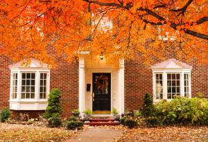 Home, Fall, Autumn, Leaves