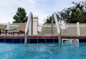 Pool, Pool Safety, Pool Ladder, Water