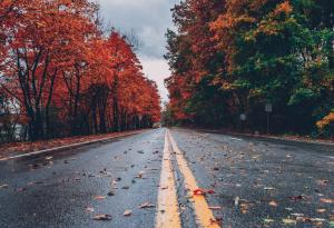 Autumn, Leaves, Empty Road, Fall 