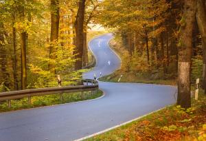 Winding road, rural, trees