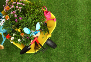 Spring, Lawncare, Gardening